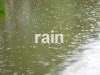 .: rain :.