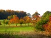 30 october 2003 : oulton park golf course, oulton, west yorkshire