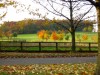 30 october 2003 : oulton park golf course, oulton, west yorkshire